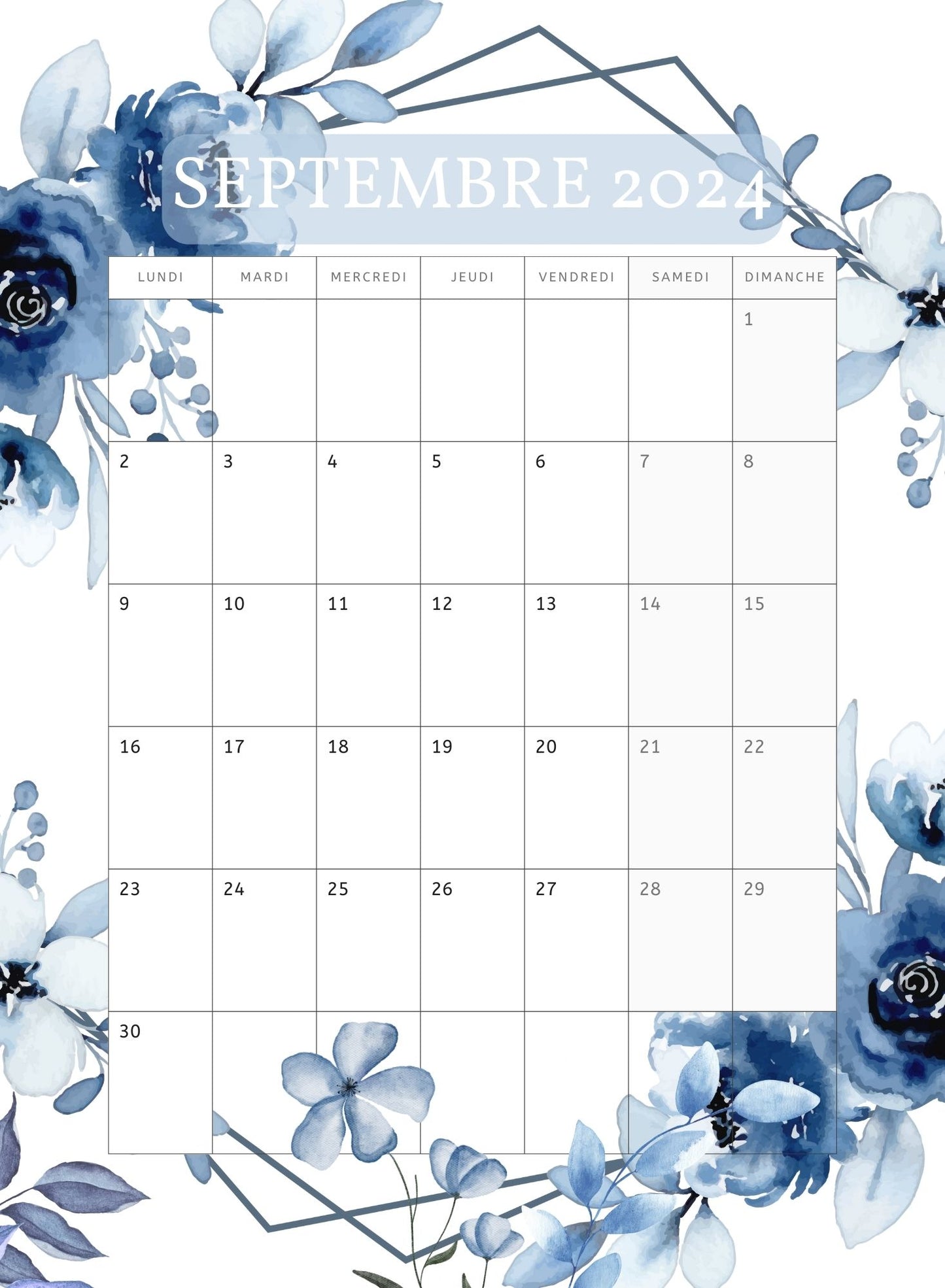 AGENDA Coloriage Adulte Modèle "Bleu Bohème"