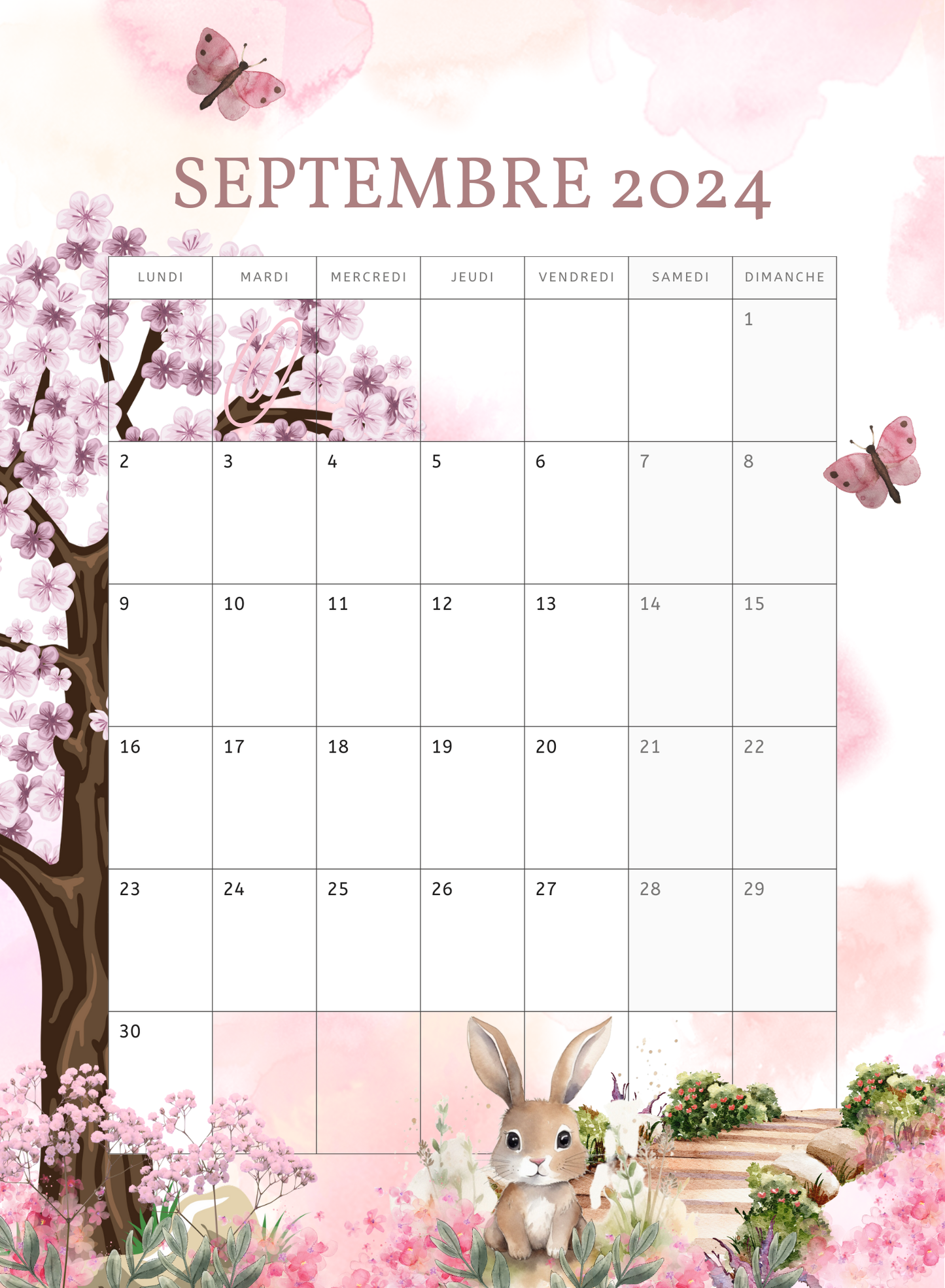 AGENDA Coloriage Adulte Modèle "La vie en Rose"