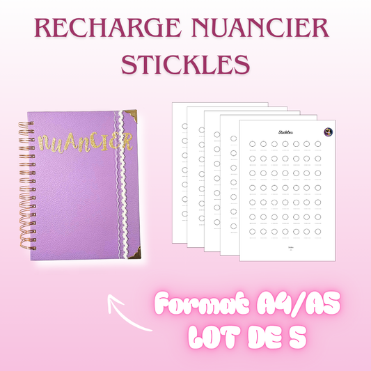 Recharge Nuancier Stickles (x 5)